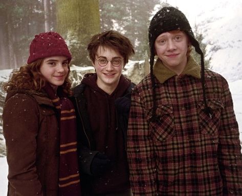 golden trio, harry ron hermione Harry Potter Trio, Ron Y Hermione, Harry Ron Hermione, The Golden Trio, Harry Potter Ron And Hermione, Ron And Harry, Ron Hermione, Harry And Hermione, Harry Potter Ron