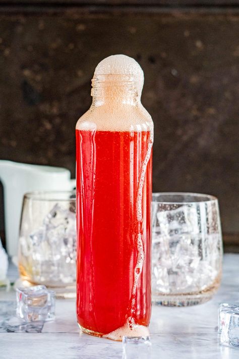 Cranberry Kombucha, Gingerade Kombucha Recipe, What To Do With Extra Kombucha Scoby, Health Aid Kombucha, Make Your Own Kombucha, Kombucha 2nd Fermentation, Cranberry Simple Syrup, Healthade Kombucha, Hibiscus Syrup