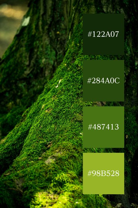 Enchanted Forest Moss: A close-up of a tree trunk blanketed in lush green moss, showcasing the rich, deep hues of a moss green color palette. Forest Green Color Pallete, Moss Color Palette, Enchanted Forest Color Palette, Moss Green Color Palette, Forest Green Color Scheme, Forest Green Palette, Forest Color Scheme, Deep Green Color Palette, Jungle Color Palette