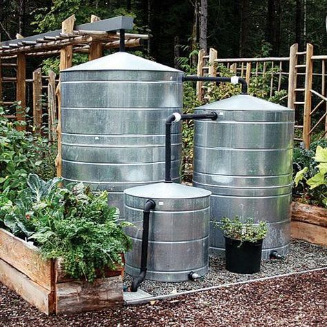 Drip System, Wildlife Garden, Rain Collection, Garden Area, Rainwater Harvesting, Water Collection, Rain Barrel, Rain Water Collection, Water Storage