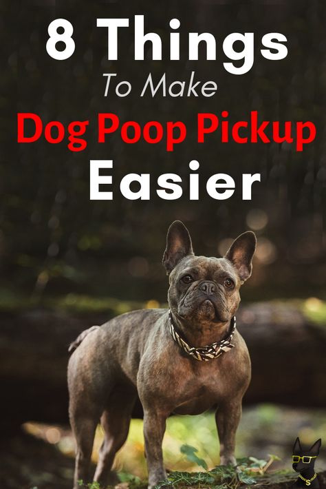 Not just the regular POOP N SCOOP  best poop bags, dog poop, dog poop bags, dog poop pick up products, dog poop powder, dog poop septic tank, dog pooper scooper, how to pick up dog poop, picking up dog poop easier, scented poop bags, dog hacks, dog gifts, dog tips #dogs #cutedogs #doghacks Dog Ticks, Can Dogs Eat Blueberries, Dog Itching Remedies, Dog With A Blog, Bearded Dragon Cute, Top Dog Breeds, Dog Pooper Scooper, Dog Tags Military, Pooper Scooper