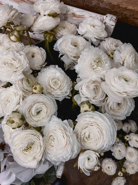 Ranunculus Aesthetic, Ranunculus Flowers, Romantic Aesthetic, Floral Aesthetic, Ranunculus, Beauty Life, Mood Board, Wallpapers, Flowers