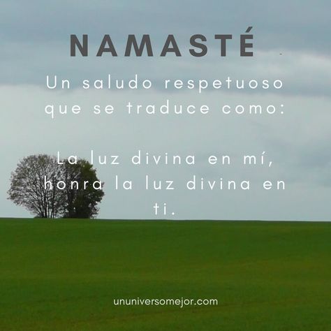 Namasté: ¿Conoces su profundo significado? - Un Universo Mejor Yoga Frases, Frases Yoga, Yoga Symbols, Yoga Mantras, Yoga Times, Yoga Asanas, Spirituality Energy, Manifestation Quotes, Positive Life