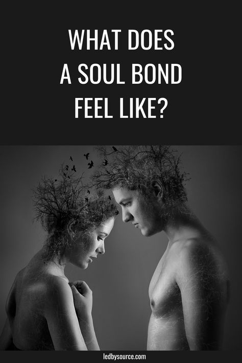 Learn what a soul connection is and how to identify it. What Is Connection, Soul Connection Quotes, Soul Bond, What Is A Soul, Mind Body Soul Connection, Inspirational Friend Quotes, Best Friend Soul Mate, Soul Meaning, Connection Quotes