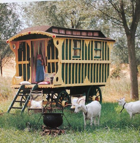 cute Wooden Caravan, Cardboard Dollhouse, Shepherds Hut, A Goat, Mobile Art, Tiny House Decor, Folding Chairs, Fortune Teller, Wagons