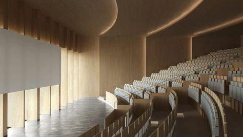 University Lecture Hall, Lecture Hall Design, Collaborative Learning Spaces, University Lectures, Auditorium Design, Lecture Hall, Lectures Room, Lecture Theatre, Facade Panel