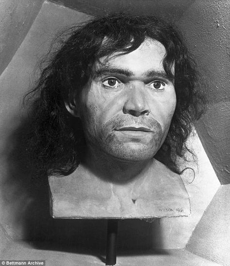 Pictured is an earlier re-construction of Cro-Magnon man. Visual forensic reconstruction n... Scarred Face, Cro Magnon, Early Man, Human Evolution, Cave In, The Skeleton, I'm Bored, Ancient Mysteries, Human Development