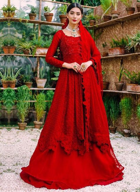 Laal Gulaab Embroidered Pakistani Gown Pakistani Gown, Chiffon Lehenga, Asian Designers, Pakistani Party Wear, Organza Skirt, Red Lehenga, Net Dupatta, Indian Fashion Dresses, Pakistani Outfits