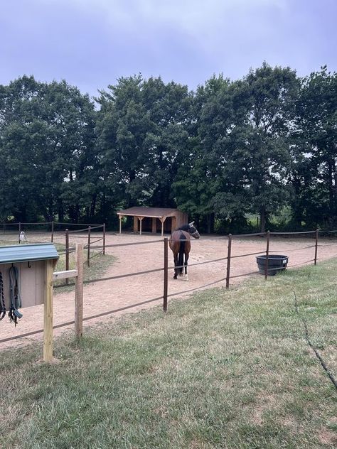 Horse Track System | For those of you with steps/stairs on your tracks, I would love to see pictures or hear how you made it | Facebook Horse Track System, Paddock Paradise, Dream Barn, Barn Ideas, Horse Stables, Horse Barns, Animal Care, Horse Life, Tracking System