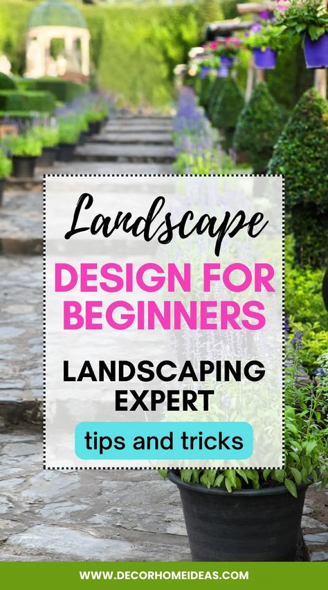 Frontyard Landscape Layout, Picturesque Garden, Garden Planning Layout, Front Lawn Landscaping, Beginners Landscaping, Creeping Thyme, Lawn Design, Vegetable Garden Planning, Front Yard Garden Design