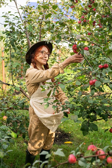 Random Refrences, Harvest Illustration, Picking Fruit, Eve Art, Apple Garden, Picking Apples, People Reference, Apple Photo, In Her Garden