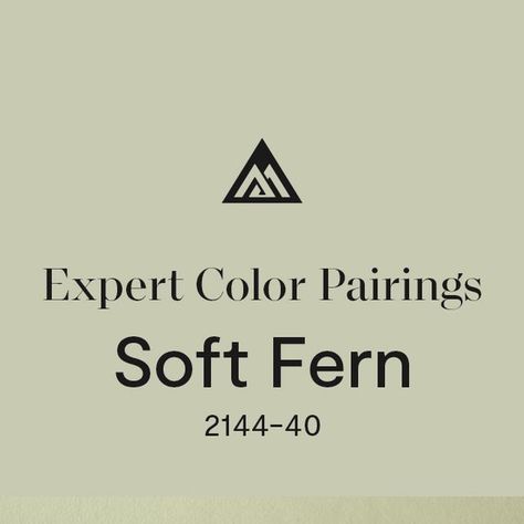 Benjamin Moore on Instagram: "Looking to center your space around a soft, pale green? As soothing as aloe, Soft Fern 2144-40 owes its innate versatility to a mist of gray. Swipe through to see how we paired it with other Benjamin Moore hues, then head to our website or your locally owned store to shop color samples. #BenjaminMoore #Paint #Home #InteriorDesign" Bm Soft Fern, Soft Fern Benjamin Moore, Benjamin Moore Soft Fern, Revere Pewter, Paint Colors Benjamin Moore, Benjamin Moore Paint, Kitchen Paint Colors, Paint Colours, Kitchen Paint