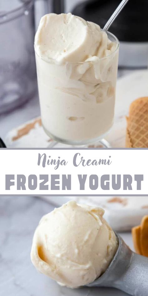 Here you go! The Ninja Creami Frozen Yogurt Recipe is just ready in 5 minutes if you minus the freezing time. Ninja Crème Recipe, Frozen Yogurt Ninja Creami Recipes, Ninja Creami Ice Cream Recipes Frozen Yogurt, Ninja Creami Smoothie Bowl Recipe, Ninja Creami Deluxe Frozen Yogurt Recipe, Frozen Yogurt Ninja Creami, Cremi Ninja Recipes, Ninja Creami Protein Frozen Yogurt Recipes, Ninja Creami Frozen Yogurt Recipe