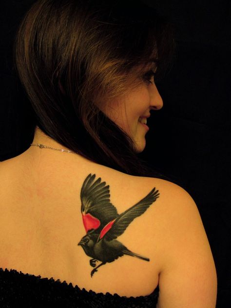 Before I pin any of my tattoo inspirations, I want to share with you my first tattoo! It is a blackbird, inspired by the song by The Beatles. It was done by Megan Massacre on 8/22/12 at Wooster Street Social Club. Red Wing Black Bird, Blackbird Tattoo, Respect Tattoo, Red Winged Blackbird, Black Bird Tattoo, Tattoo Bird, Sparrow Tattoo, Bad Tattoos, Bird Tattoo