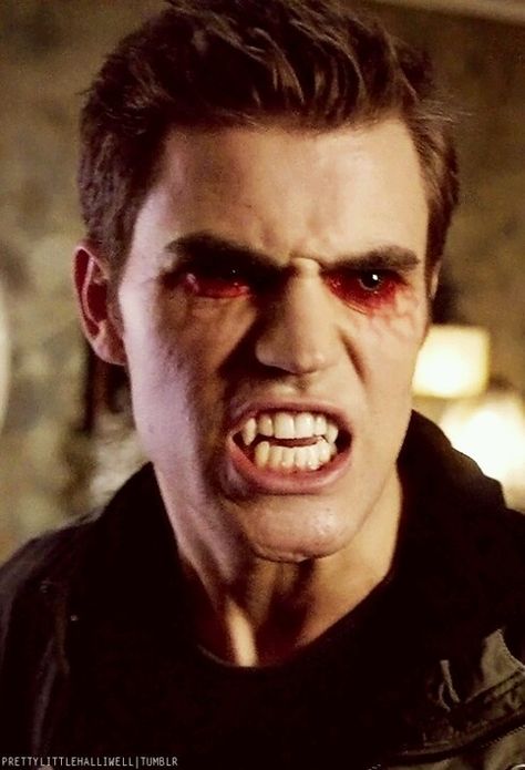 Stephen Salvatore - The Vampire Diaries . Ripper Stefan Wallpaper, Stefan Salvatore Ripper, Stephen Salvatore, Ripper Stefan, Paul Wesley Vampire Diaries, Salvatore Brothers, The Salvatore Brothers, Vampire Pictures, Damon And Stefan