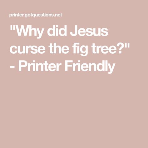 "Why did Jesus curse the fig tree?" - Printer Friendly Jesus Curses The Fig Tree, Jesus Cleanses The Temple, Bible Meaning, Faith Without Works, The Fig Tree, John 15 5, Why Jesus, Bible Notes, Rose Of Sharon