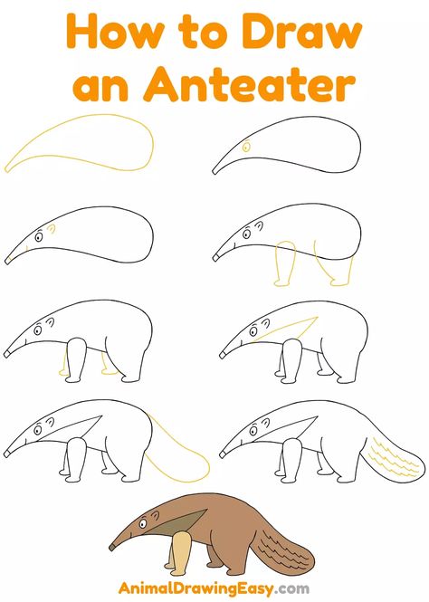 How to Draw an Anteater Step by Step #Anteater #Drawing #Drawings #AnimalDrawings #HowtoDrawAnimals #HowtoDrawanAnteater #EasyDrawings #Stepby Anteater Craft, Anteater Drawing, Draw Zoo Animals, Drawing Yourself, Mystery Drawing, Art Reference Animals, Giant Anteater, Reference Animals, Christmas Cake Designs