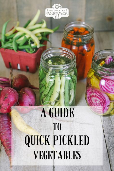 A Guide to Quick Pickled Vegetables Basic Brine, Quick Pickled Vegetables, Pickled Vegetables Recipe, The Prairie Homestead, Prairie Homestead, Quick Pickled, Canning Tips, Brine Recipe, Pickled Veggies