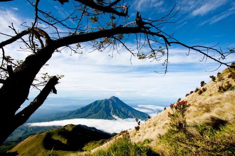 Merbabu Mountain or it's often called Mount Merbabu or Gunung Merbabu is located in Central Java province, Indonesia. Merbabu Mountain, Wallpaper Laptop, Central Java, Mountain Wallpaper, Mountain Photos, Tourist Places, Best Sites, Famous Places, Historical Place