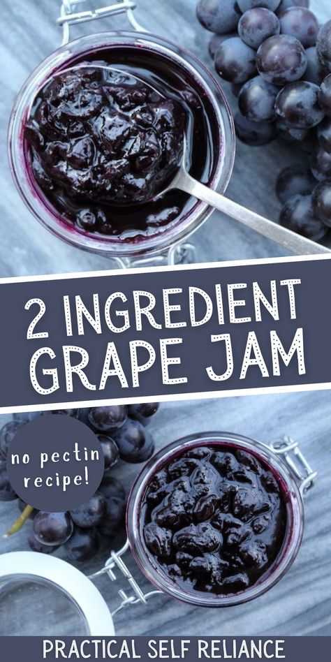 Concord Grape Jam, Grape Jam Recipe, Homemade Grape Jelly, Concord Grape Jelly, Canning Jam Recipes, Grape Jam, Jam Recipes Homemade, Canning Jam, Grape Recipes