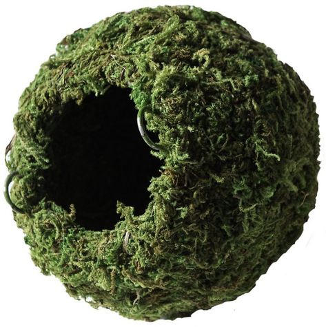 Mossy Cave, Snake Enclosure, Gecko Terrarium, Reptile Hide, Moss Ball, Sphagnum Moss, Crested Gecko, Terrarium Decor, Leopard Gecko