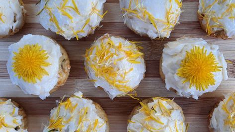 Lemon Cupcakes Recipe, Lemon Cupcake Recipe, Dandelion Flowers, Lemon Frosting, Lemon Cupcakes, Cupcakes Recipe, Cupcake Frosting, Wild Edibles, Hand Blender