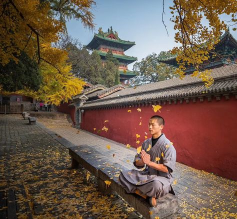 Shaolin master meditate inside temple during autumn #shaolin #autumn #meditation #zen Autumn Meditation, Shaolin Monastery, Chinese Meditation, China Aesthetic, Monk Meditation, Shaolin Temple, Shaolin Monks, Shaolin Kung Fu, Chinese Warrior