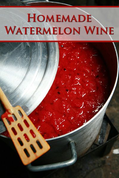 Homemade Watermelon Wine - Celebration Generation Easy Wine Making Diy, Unique Ingredients, Watermelon Wine Recipe, Watermelon Liqueur Recipe, Watermelon Moonshine Recipe, Fruit Wine Recipes, Wine Celebration, Mead Wine, Watermelon Wine