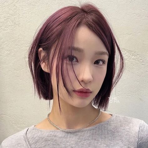 Asian Short Hairstyles, Week Hairstyles, Short Burgundy Hair, Denim Hair, Korean Hairstyles, Best Hairstyles For Women, Thick Hair Cuts, Real Estate Investment Trust, Asian Short Hair