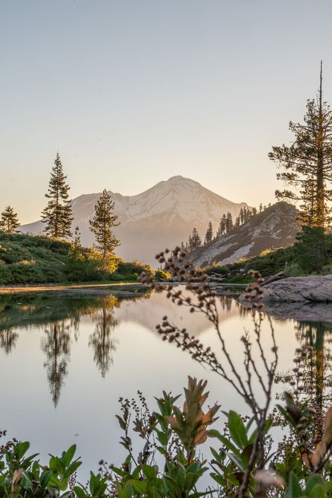 Mount Shasta California, Shasta California, Jessie Reyez, California Travel Guide, Mt Shasta, Mount Shasta, California Destinations, Looking Out The Window, Summer Road Trip