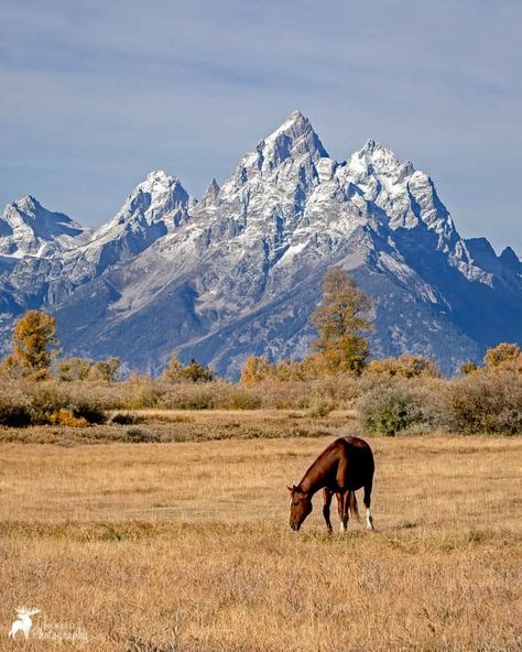 Colorado Aesthetic, Bob Ross Paintings, Big Sky Country, Us Road Trip, Airbrush Art, Old Paintings, Horse Painting, Country Life, Most Beautiful Places