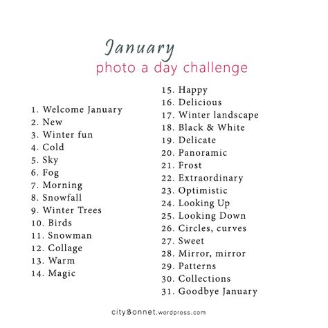 January Photography Challenge, January Daily Photo Challenge, A Picture A Day Challenge, January Photo Challenge 2023, January Photo A Day, Art Habits, Defi Photo, April Photo Challenge, January Photo Challenge