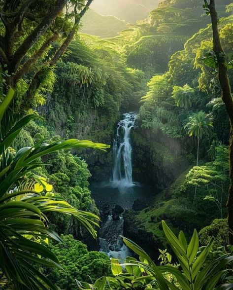 Green Lush Aesthetic, Tropical Landscape Photography, Hawaii Jungle Aesthetic, Island View Aesthetic, Tropical Nature Aesthetic, Castaway Aesthetic, Tropical Forest Aesthetic, Jungle With Animals, Rainforest Drawing