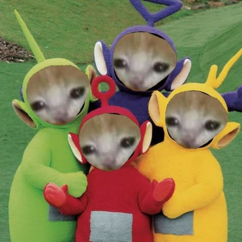 Teletubbies Pfp, Cursed Cat Pics, Crying Cat Costume, Friends Pfp, Bread Cat, Banana Cat, Food Cat, Ugly Cat, Laughing Cat