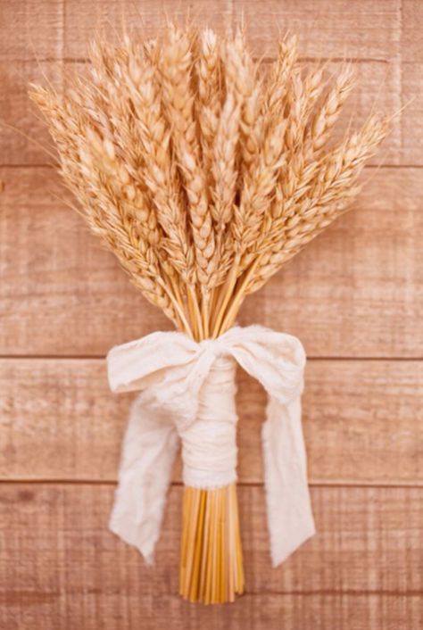 In the 14th Century brides would often carry wheat to symbolize fertility or the flower girls would throw the wheat to also symbolize fertility Prince Reference, Bouquet Alternatives, Wheat Bouquet, Country Wedding Bouquets, Wheat Wedding, Pew Markers, Rustic Decorations, Hannah Cooper, Ancient Ireland