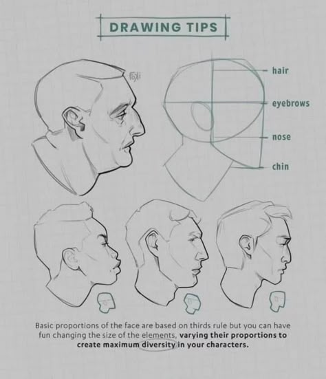 Draw Heads, Drawing Portraits, Art Advice, Human Anatomy Art, Anatomy For Artists, Sketch Style, Poses References, Anatomy Drawing, Figure Drawing Reference