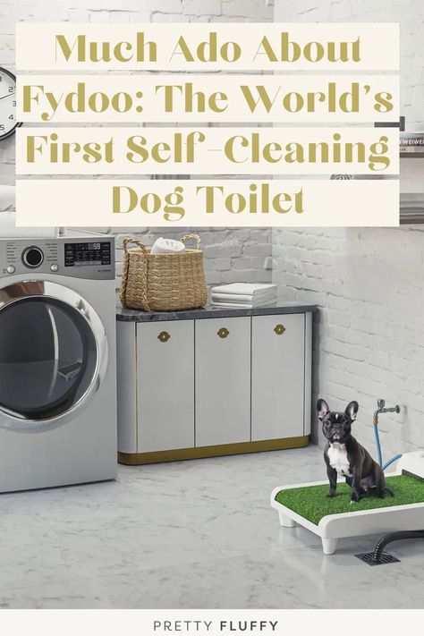 Appearing on the Australian series of Shark Tank, here’s everything you need to know about Fydoo’s self-cleaning dog toilet - and how it’s set to revolutionise the humble dog potty as you know it. #indoordogpotty #pettech #dogpotty Indoor Dog Potty, Living With Dogs, Clever Dog, Dog Toilet, Organisation Tips, Dog Potty, Shark Tank, You Know It, Living Well