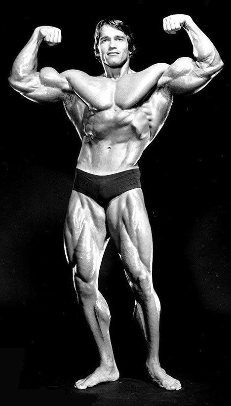 Arnold Schwarzenegger, Austria (30 July 1947) > USA, height 6-foot-2 (188 cm) Arnold Schwarzenegger Muscle, Arnold Schwarzenegger Bodybuilding, Schwarzenegger Bodybuilding, Joe Weider, Bodybuilding Pictures, 30 July, Bodybuilders Men, Mr Olympia, Fitness Motivation Quotes Inspiration