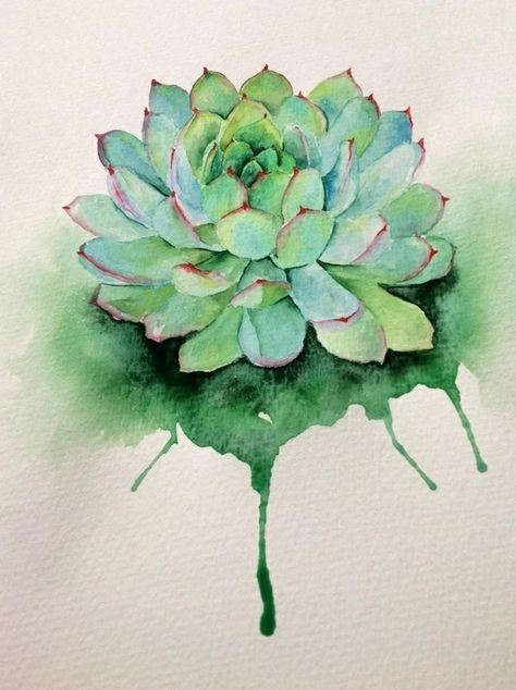 Succulent Pictures, Suculent Plants, Succulent Tattoo, Succulent Painting, Watercolor Succulents, Succulent Art, Colorful Succulents, Watercolor Plants, Cat Air