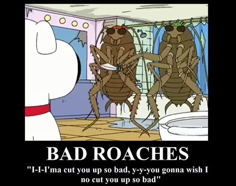 bad roaches Fallout 4 Funny, Fallout Meme, Fallout Funny, Vault 111, Fallout Fan Art, Fallout Game, Fallout Art, Video Game Memes, Fallout New Vegas