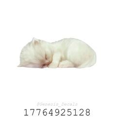 ID : 17764925128 [Cat] | #Roblox #Cat Bloxburg Cat Decal Codes Transparent, Cat Decals Bloxburg, Cat Rug, Coding Shirts, Roblox Image Ids, Cat Cafe, Bloxburg Decal Codes, Roblox Codes, Custom Cat