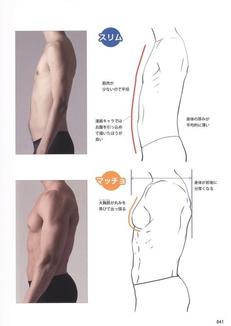 남성 근육, Drawing Male, Man Anatomy, Anatomy Tutorial, Human Anatomy Drawing, Human Anatomy Art, Anatomy Sketches, Anatomy Poses, Anatomy For Artists