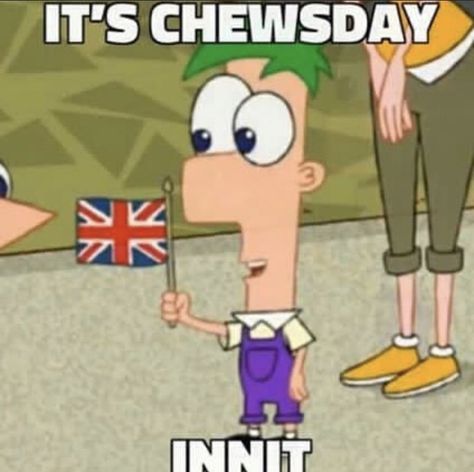 Phineas And Ferb Memes, Phineas E Ferb, Perry The Platypus, Phineas Y Ferb, Cartoon Crazy, Christian Jokes, Hilarious Jokes, Icarly, Phineas And Ferb