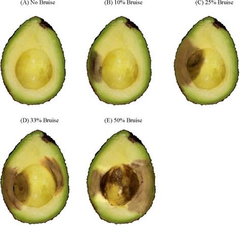 How to Know if That Avacado Is Safe to Eat Avocado Meals, Avocado Types, How To Cut Avocado, Unsaturated Fats, Sour Taste, Ripe Avocado, Do Not Eat, Food Store, In The Flesh