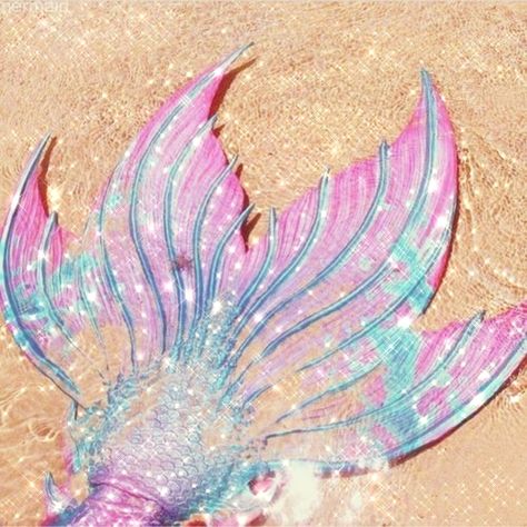 Lil Mermaid, Realistic Mermaid Tails, Howleen Wolf, No Ordinary Girl, Realistic Mermaid, Mermaid Melody Pichi Pichi Pitch, Princess Charm School, Silicone Mermaid Tails, Mermaid Barbie