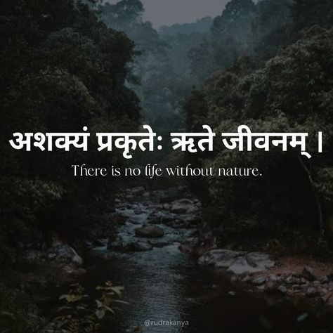 #sanatan #dharma #hinduism #hindu Sanatan Dharma Quotes, Hinduism Quotes, Hinduism History, One Word Caption, Sanskrit Quotes, Sanatan Dharma, Sanskrit Words, Forest Bathing, Nature Quotes