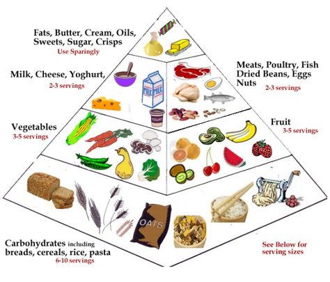 Food Guide Pyramid, Pasta Serving Size, Food Triangle, Cooking Verbs, Nutrition Logo, Nutrition Activities, Nutrition Month, Nutrition Sportive, Baked Roast