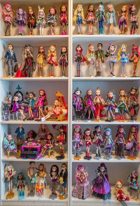 14 Crazy Collections That Will Make Your Inner Child Completely Jealous Monster High Display, Enchanted Picnic, Monster High Collection, Ever After High Dolls, Lego Head, Doll Storage, Ever After Dolls, Nostalgic Toys, Doll Display