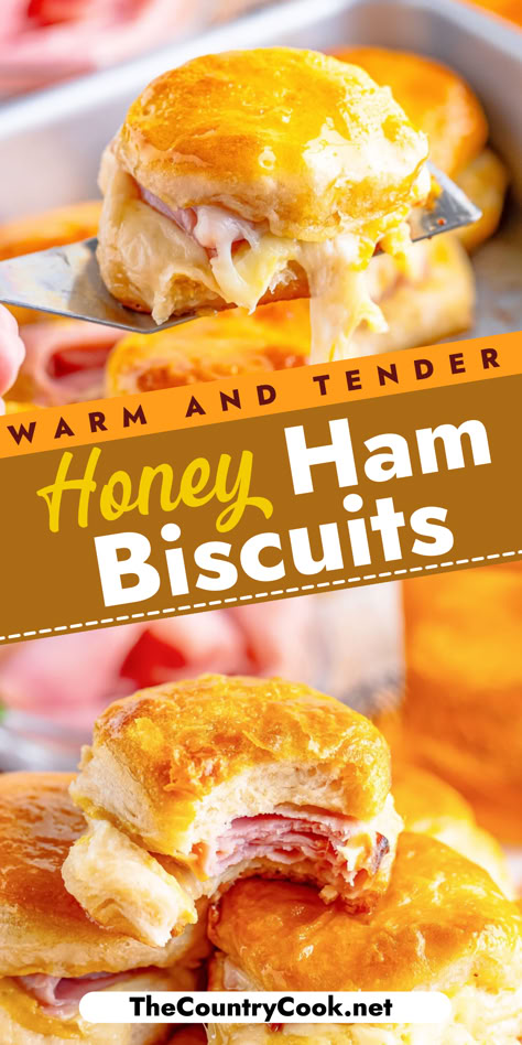 Warm Honey Ham Biscuits are easily made with refrigerated biscuits, honey ham, provolone cheese and drizzled with warm honey. Enjoy for any meal or snack! Biscuit Sliders Recipes, Pillsbury Recipes Dinner Meals, Pilsbury Hawaiian Biscuit Recipes, Ham And Biscuit Recipes, Ham And Cheese Pillsbury Biscuits, Ham And Cheddar Biscuits, Grands Flaky Layers Biscuit Recipes, Ham And Cheese Biscuit Sandwiches, Recipe With Pillsbury Biscuits