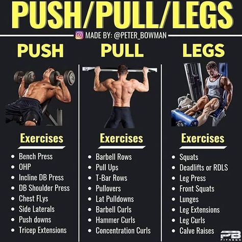 Muscles Iron on Instagram: “Push, Pull, Legs (PPL) by @peter_bowman - Push, Pull, Legs is one of the best splits out there in my opinion. Largely because you are…” Push Pull Workout Routine, Push Pull Legs Routine, Pull Exercises, Push Pull Legs Workout, Push Pull Workout, Exercises For Men, Push Pull Legs, Push Workout, Full Body Workout Routine